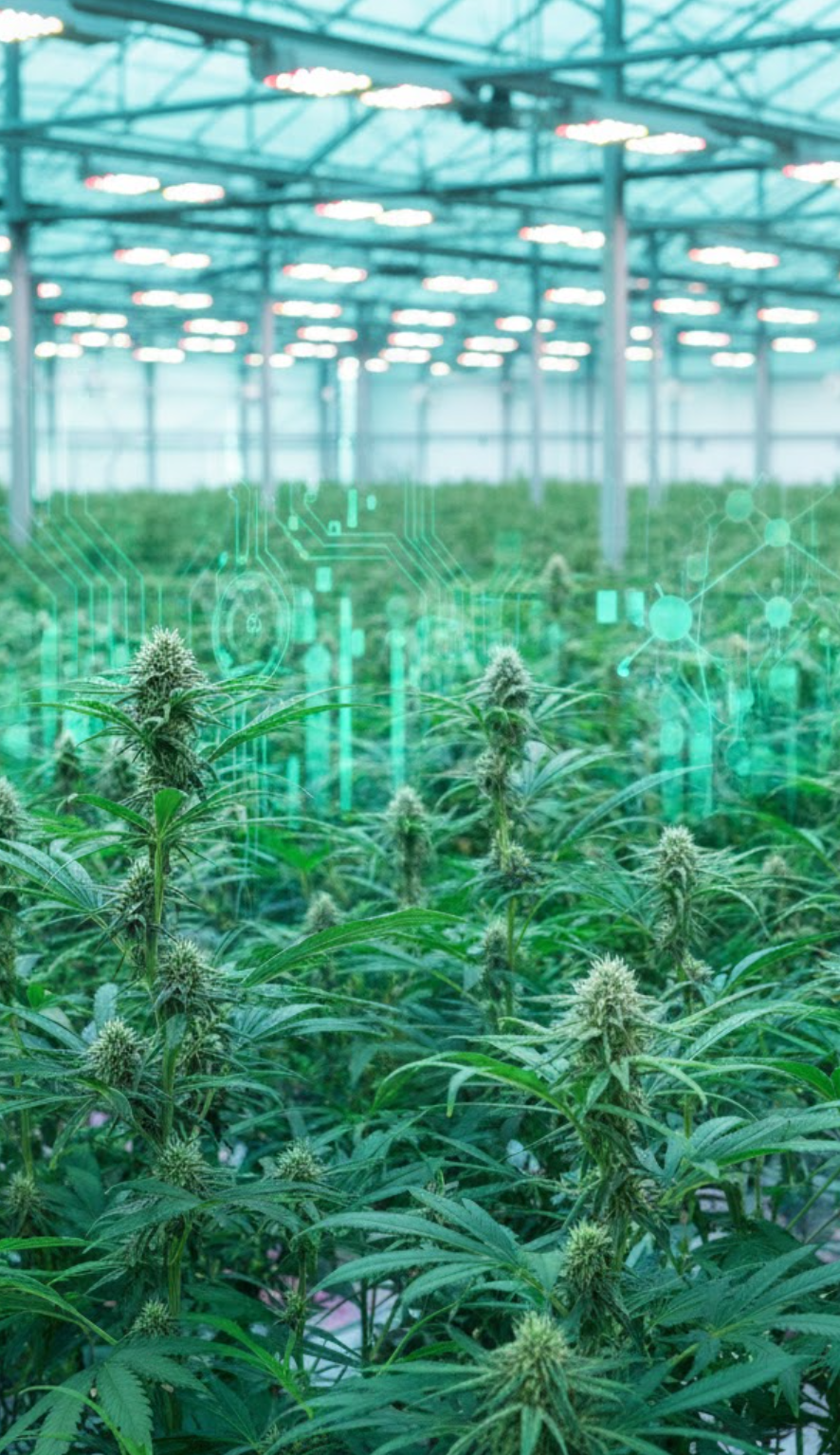 GreenLeaf Cultivation Fund